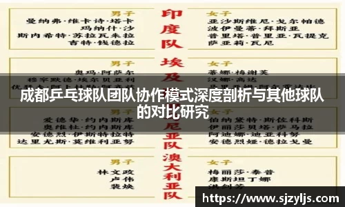 成都乒乓球队团队协作模式深度剖析与其他球队的对比研究